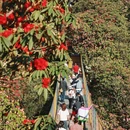 毕节旅游 缩略图 7
