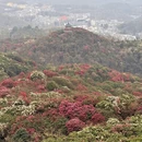 毕节旅游 缩略图 5
