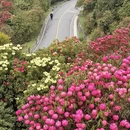 遵义旅游 缩略图 1