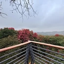 遵义旅游 缩略图 5