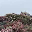 遵义旅游 缩略图 4