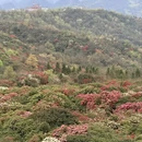 毕节旅游 缩略图 6