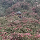 遵义旅游 缩略图 2