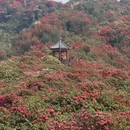 毕节旅游 缩略图 7