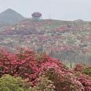 毕节旅游 缩略图 8