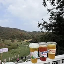 遵义旅游 缩略图 10