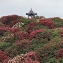 毕节旅游 缩略图 9