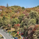 毕节旅游 缩略图 8