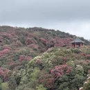 遵义旅游 缩略图 14