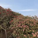 毕节旅游 缩略图 9