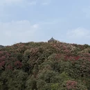 毕节旅游 缩略图 7