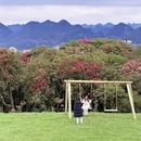 安顺旅游 缩略图 8