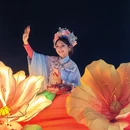 遵义旅游 缩略图 1