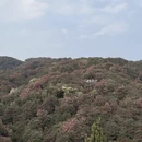 毕节旅游 缩略图 6
