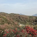 毕节旅游 缩略图 8