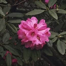 毕节旅游 缩略图 14