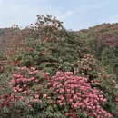 毕节旅游 缩略图 11