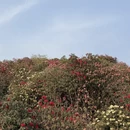 毕节旅游 缩略图 10