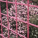 毕节旅游 缩略图 11