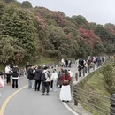 遵义旅游 缩略图 2