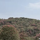 毕节旅游 缩略图 12