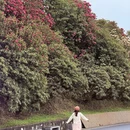 安顺旅游 缩略图 13