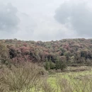 毕节旅游 缩略图 14