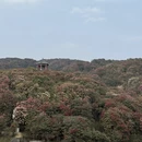 毕节旅游 缩略图 1