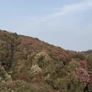 毕节旅游 缩略图 3