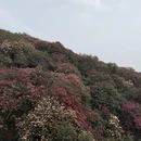 毕节旅游 缩略图 2