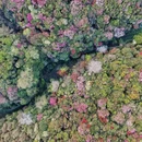 毕节旅游 缩略图 10