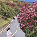 安顺旅游 缩略图 2