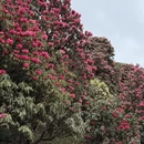 遵义旅游 缩略图 17