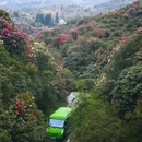 毕节旅游 缩略图 5