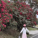 安顺旅游 缩略图 6