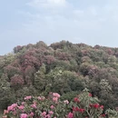 毕节旅游 缩略图 4