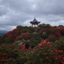 毕节旅游 缩略图 6