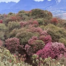 安顺旅游 缩略图 7