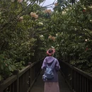 毕节旅游 缩略图 9