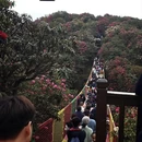 毕节旅游 缩略图 8