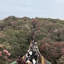 毕节旅游 缩略图 5