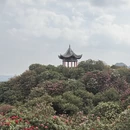 毕节旅游 缩略图 13