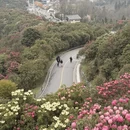 遵义旅游 缩略图 3