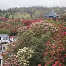 毕节旅游 缩略图 15