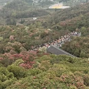 毕节旅游 缩略图 15