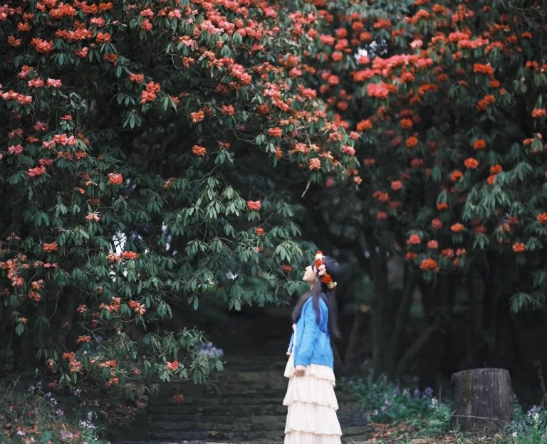 遵义旅游 1