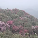 遵义旅游 缩略图 3