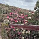 遵义旅游 缩略图 8