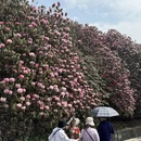 遵义旅游 缩略图 6