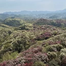 遵义旅游 缩略图 5
